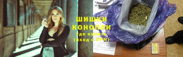 гидра Бронницы