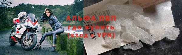 гидра Бронницы