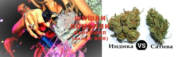 гидра Бронницы