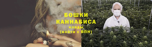 гидра Бронницы