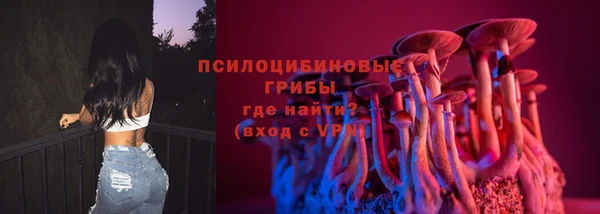 стафф Богородицк