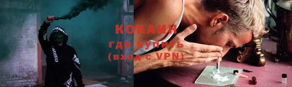 гидра Бронницы