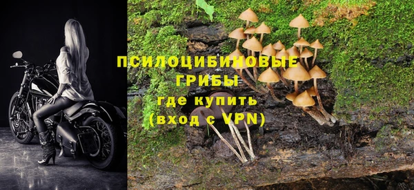 экстази Тавда